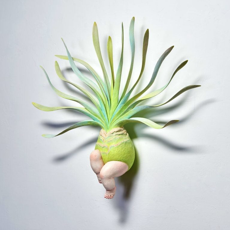 多肉仙人交易所