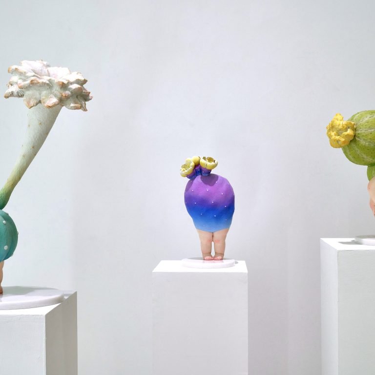 多肉仙人交易所