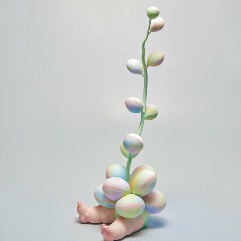 多肉仙人交易所