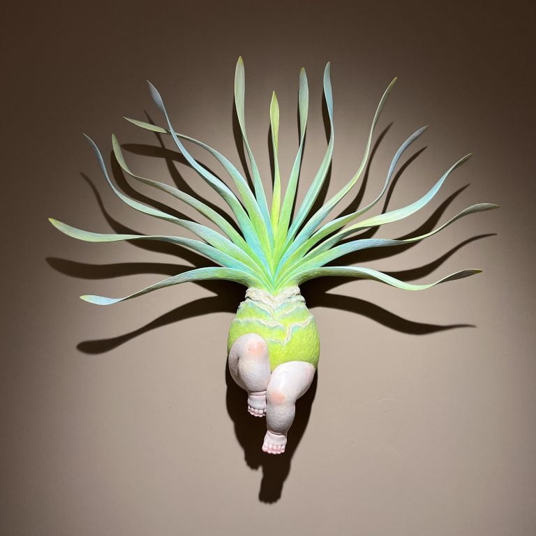 多肉仙人交易所