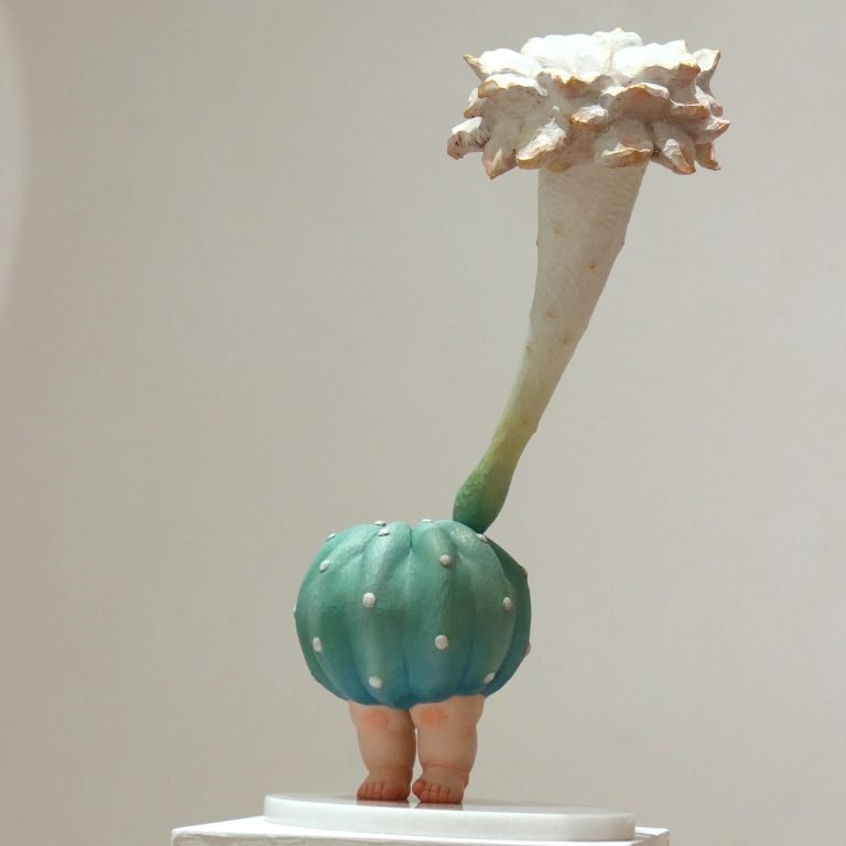 多肉仙人交易所