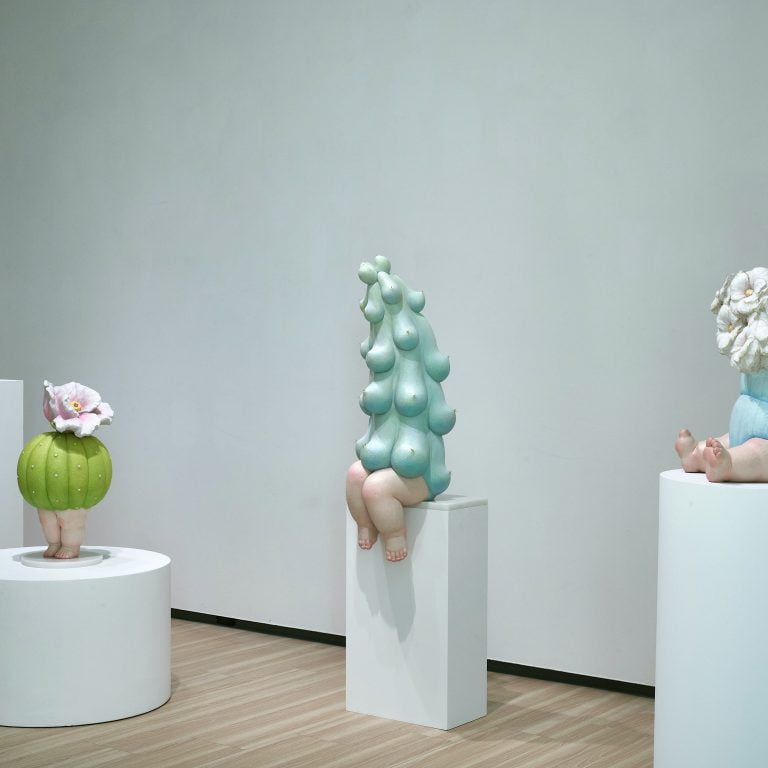 多肉仙人交易所