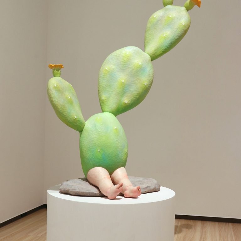 多肉仙人交易所