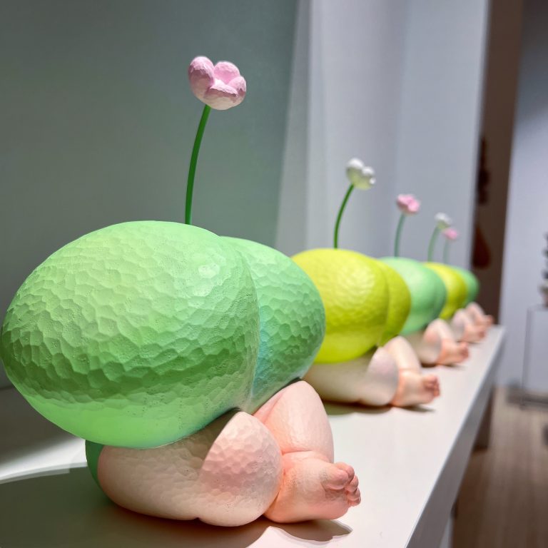 多肉仙人交易所