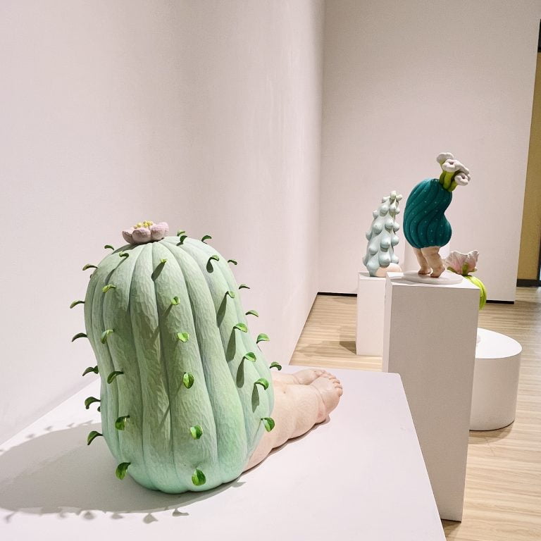 多肉仙人交易所