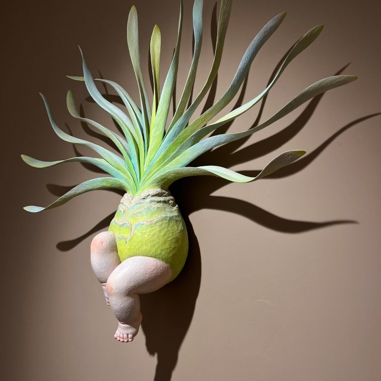 多肉仙人交易所