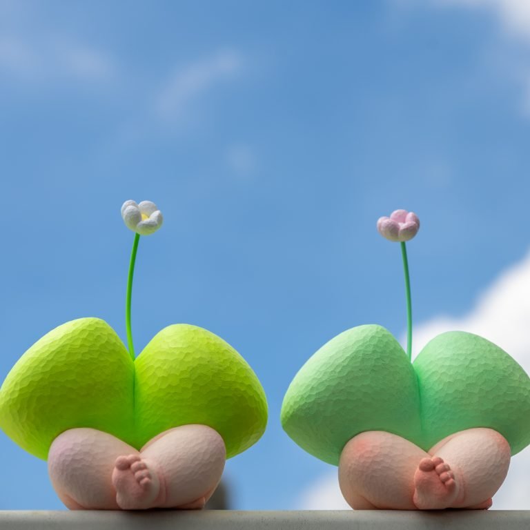 多肉仙人交易所