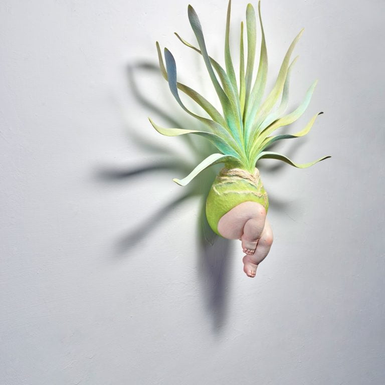 多肉仙人交易所