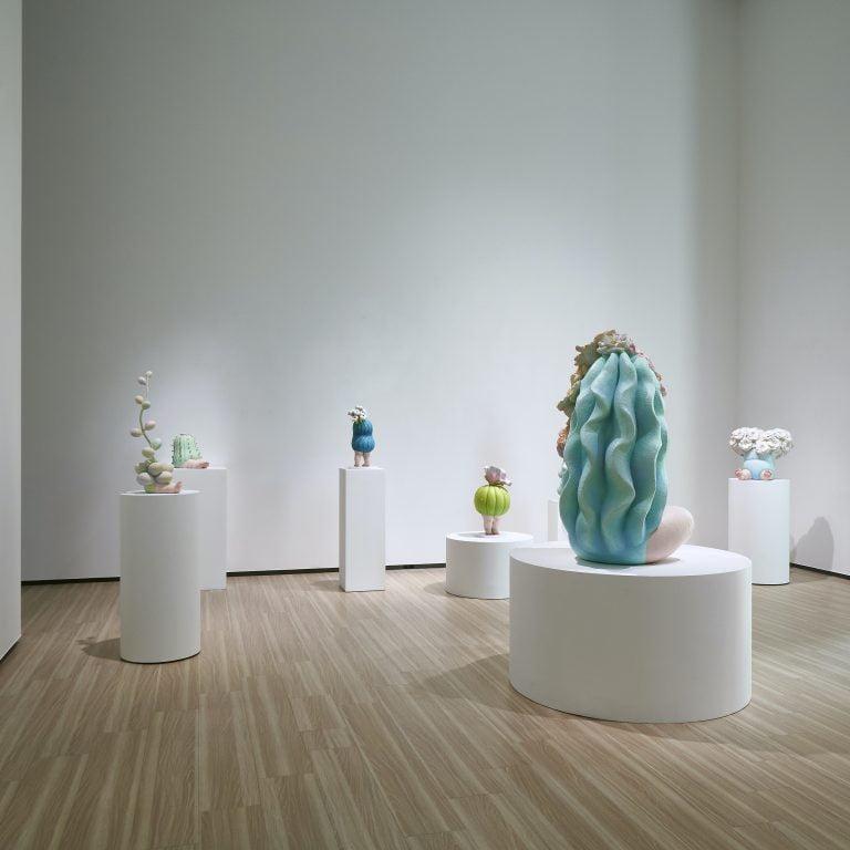 多肉仙人交易所