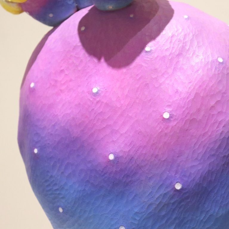 多肉仙人交易所