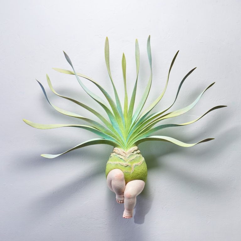 多肉仙人交易所