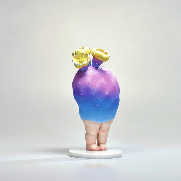 多肉仙人交易所