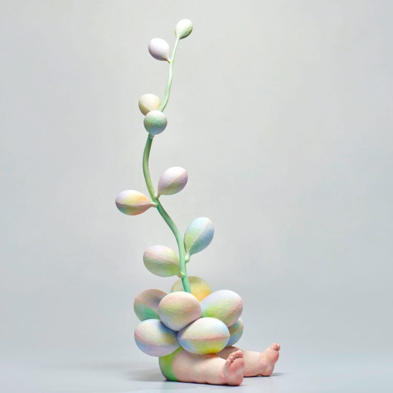 多肉仙人交易所