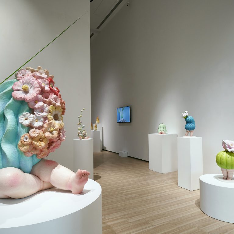 多肉仙人交易所