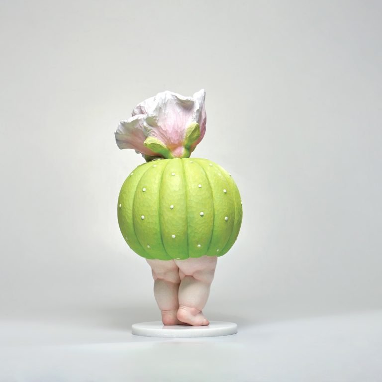 多肉仙人交易所