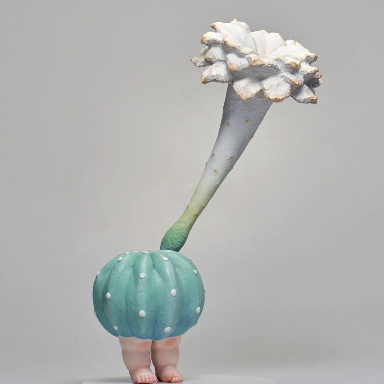 多肉仙人交易所