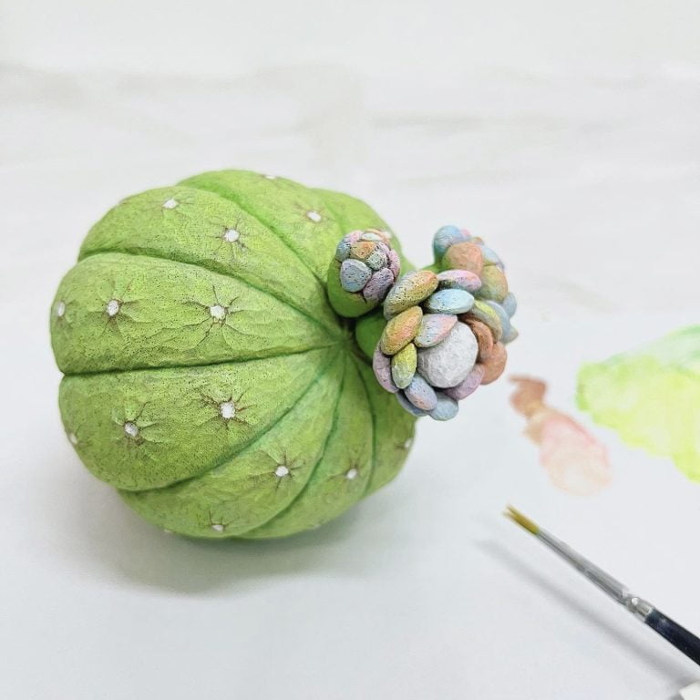 多肉仙人交易所