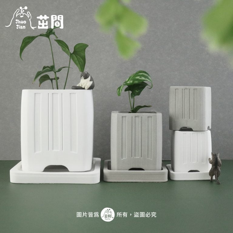 多肉仙人交易所