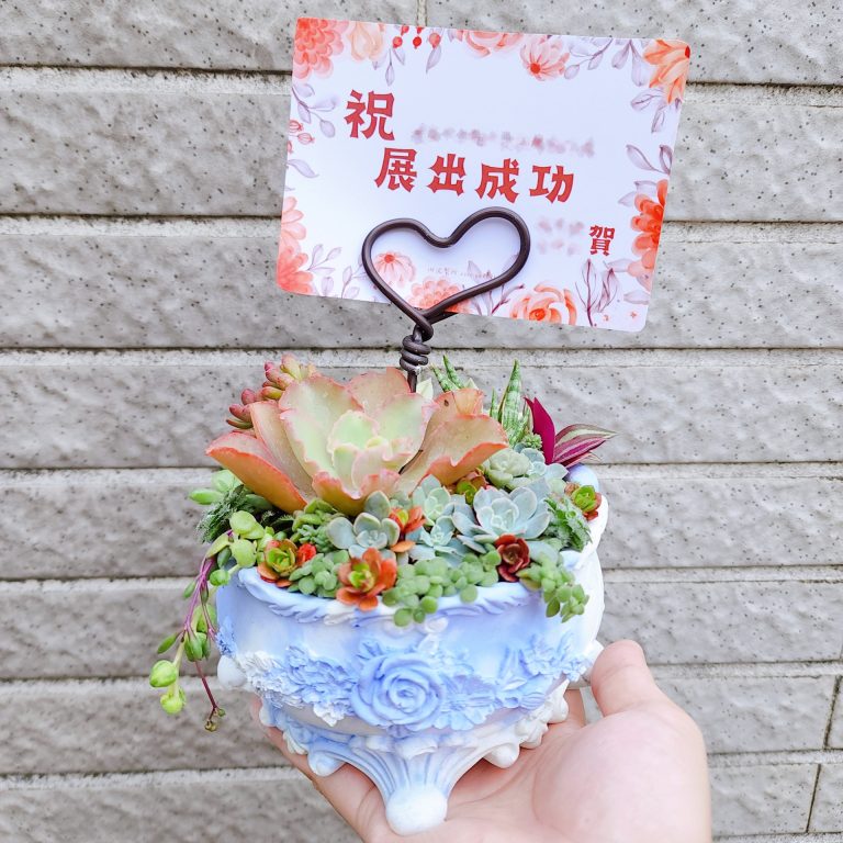 多肉仙人交易所