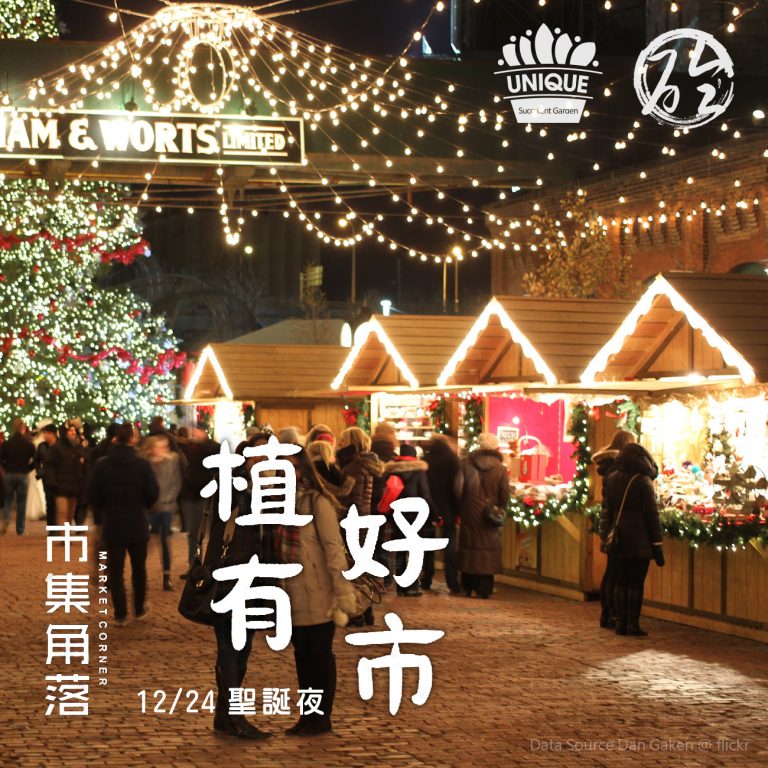 多肉仙人交易所