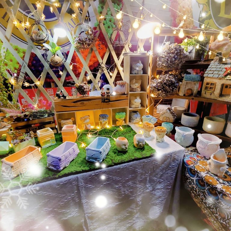 多肉仙人交易所