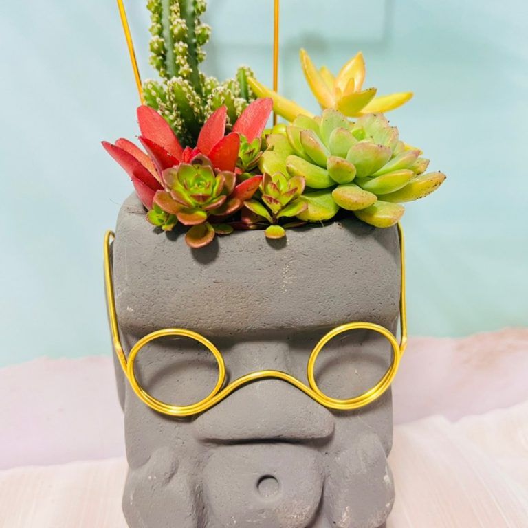 多肉仙人交易所