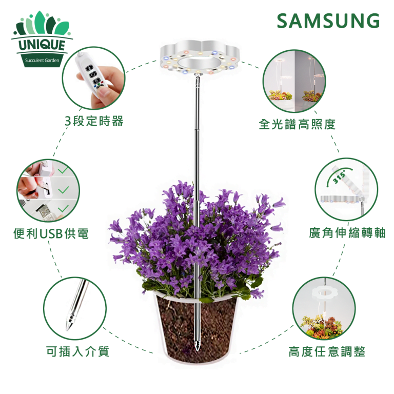 多肉仙人交易所