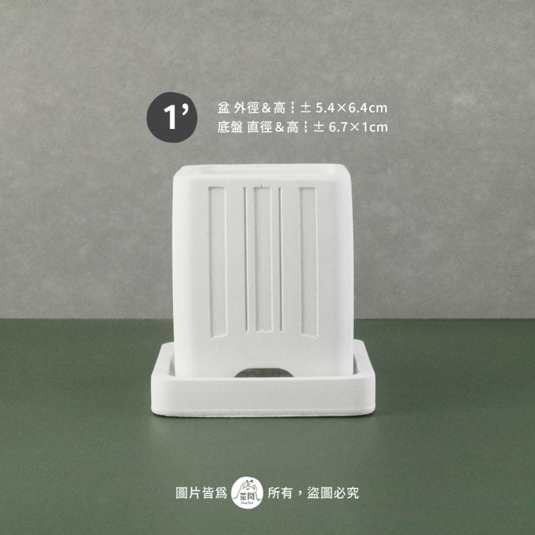 多肉仙人交易所