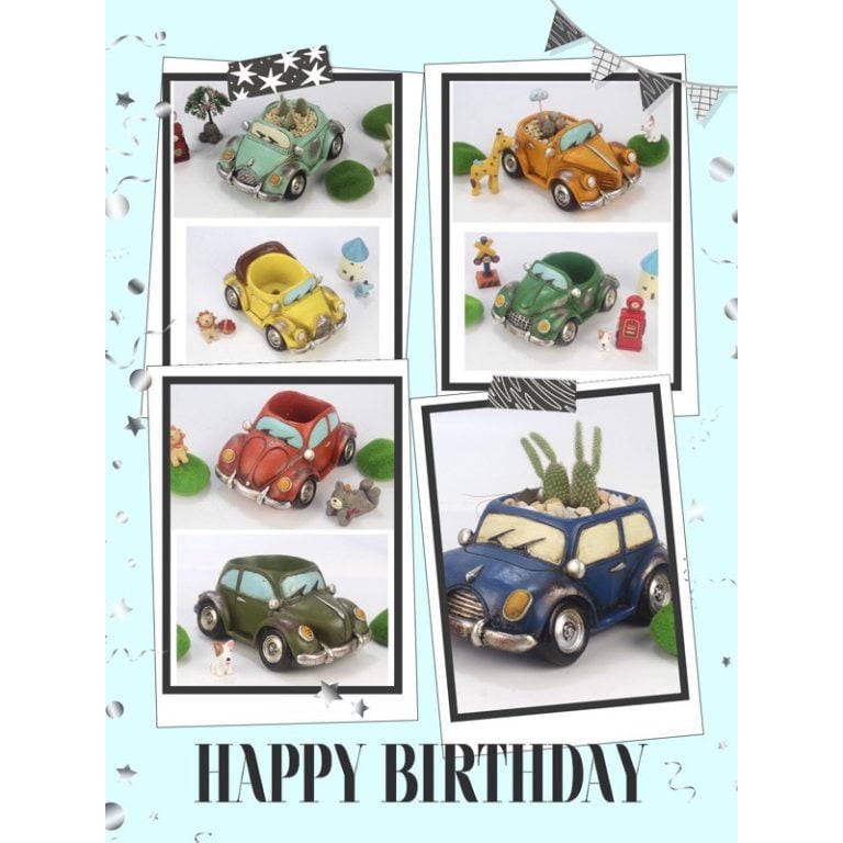 多肉仙人交易所