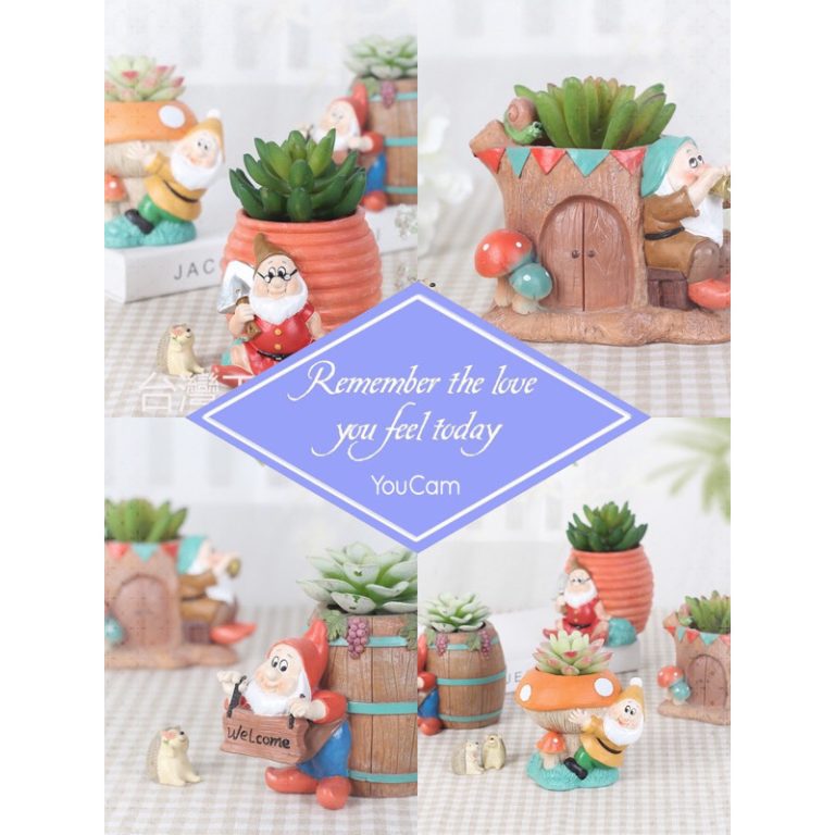 多肉仙人交易所