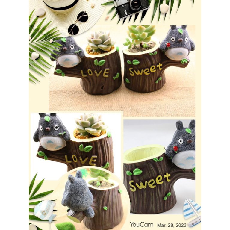 多肉仙人交易所