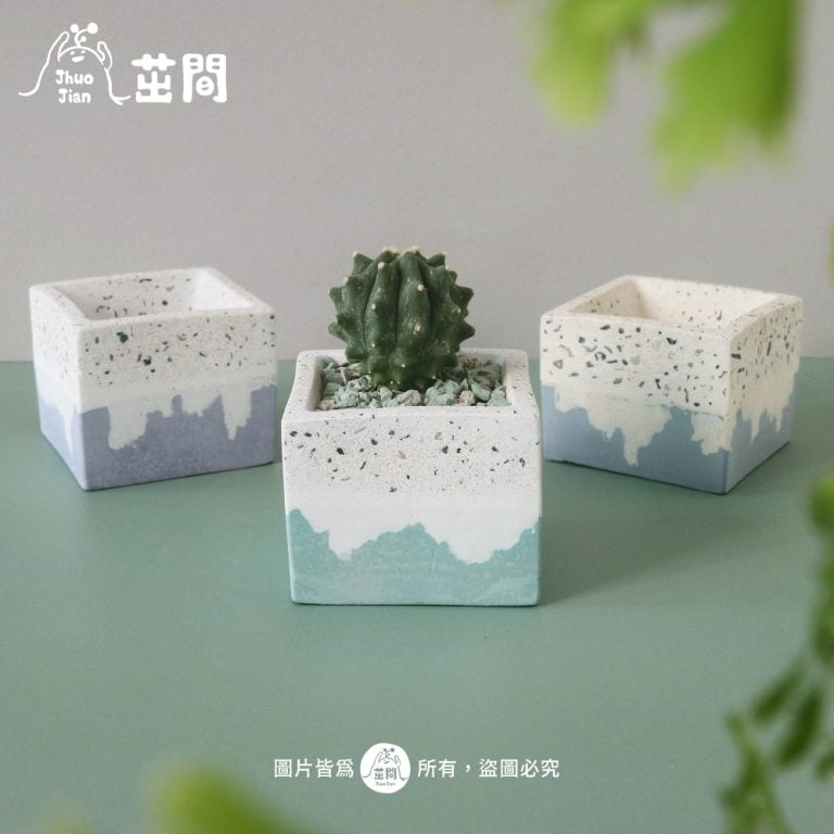 多肉仙人交易所