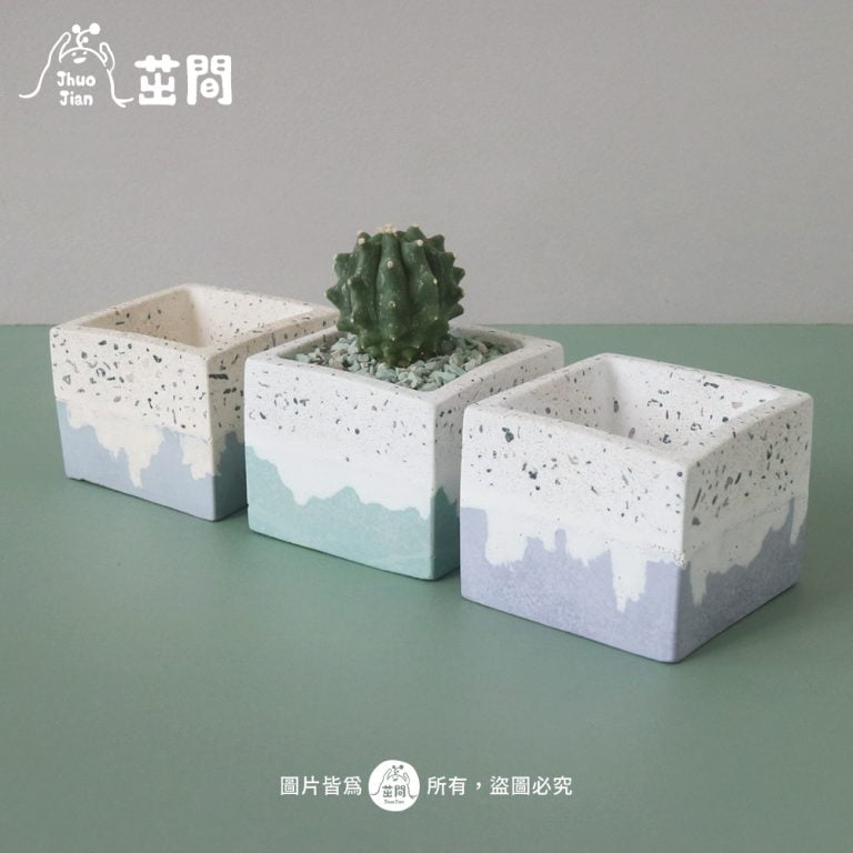 多肉仙人交易所