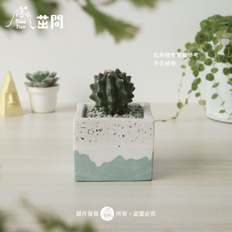 多肉仙人交易所