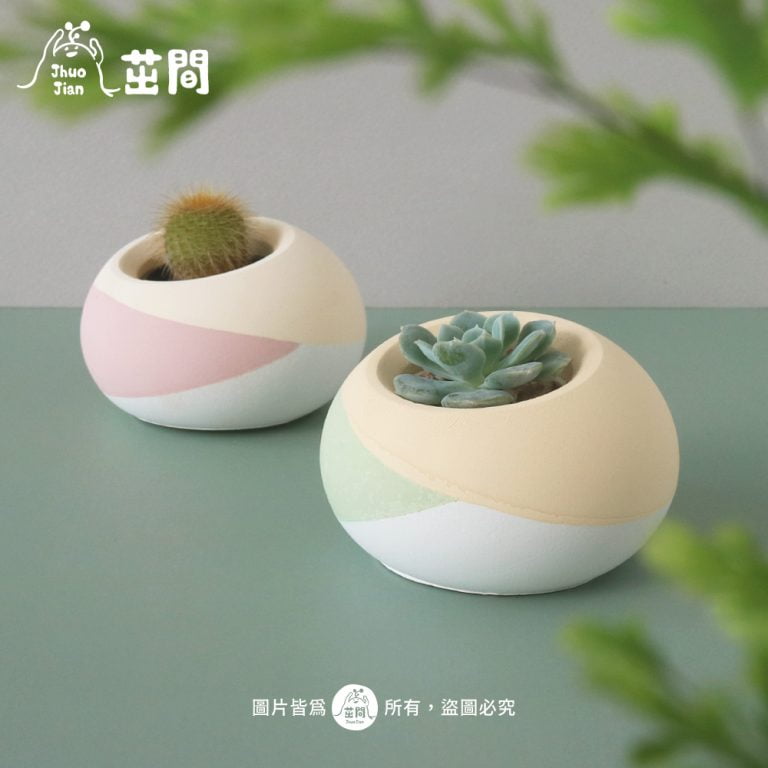 多肉仙人交易所