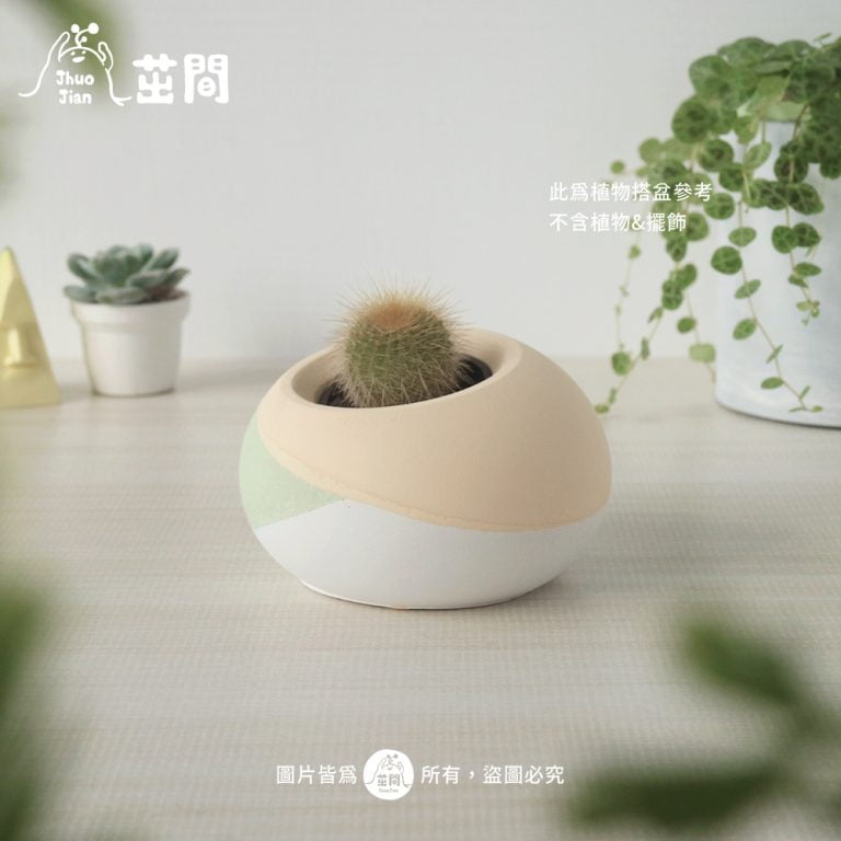 多肉仙人交易所