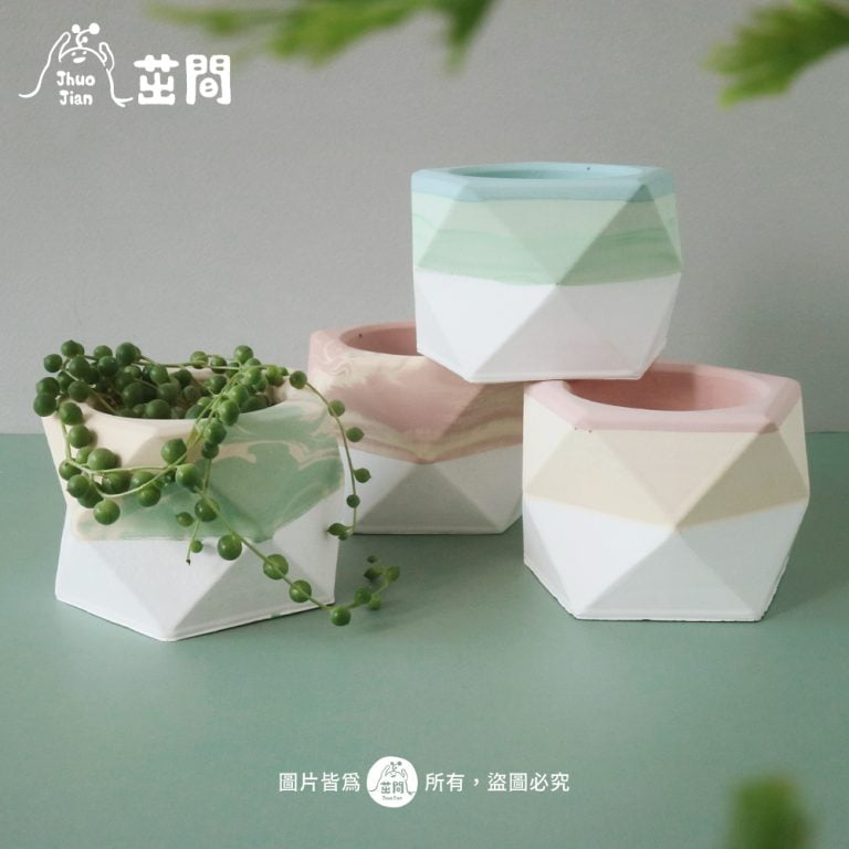 多肉仙人交易所