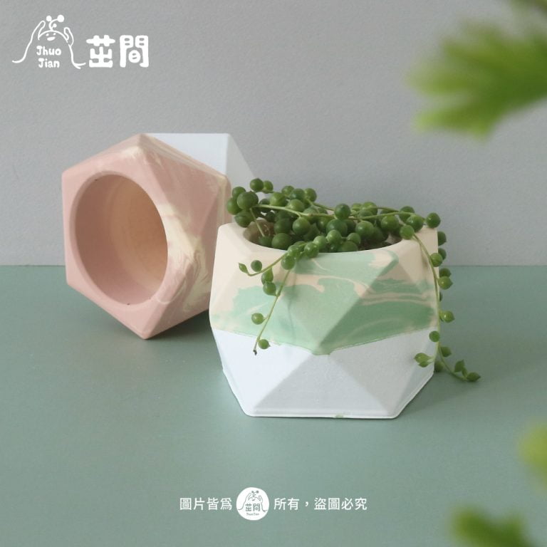 多肉仙人交易所