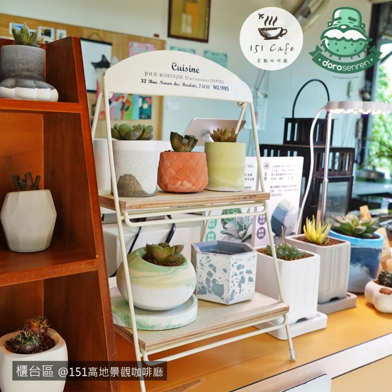 多肉仙人交易所