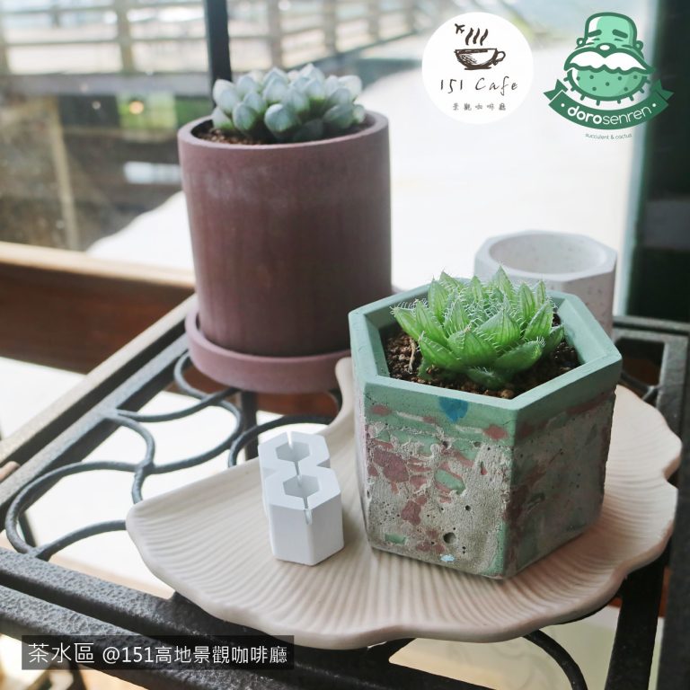 多肉仙人交易所