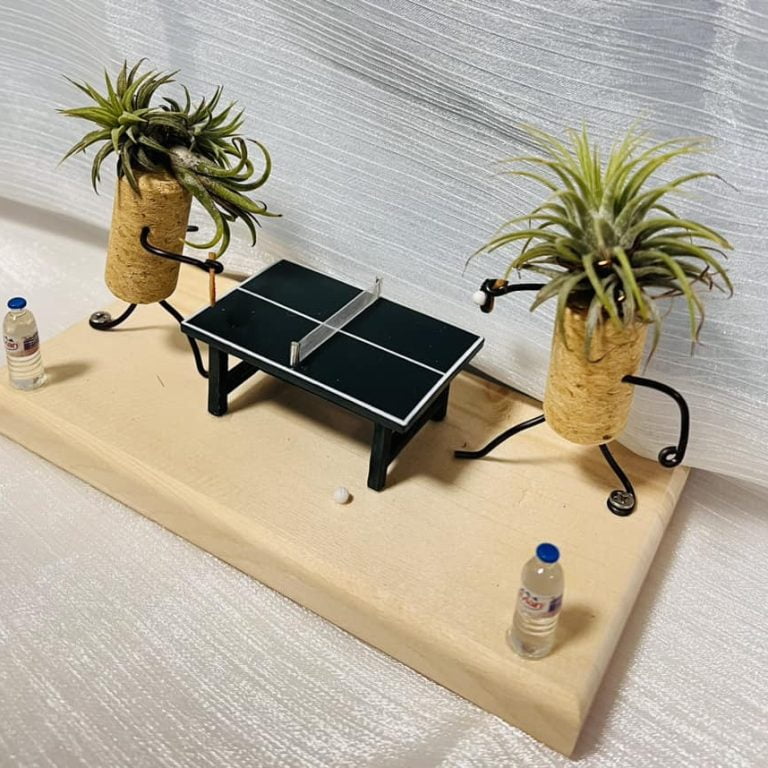 多肉仙人交易所