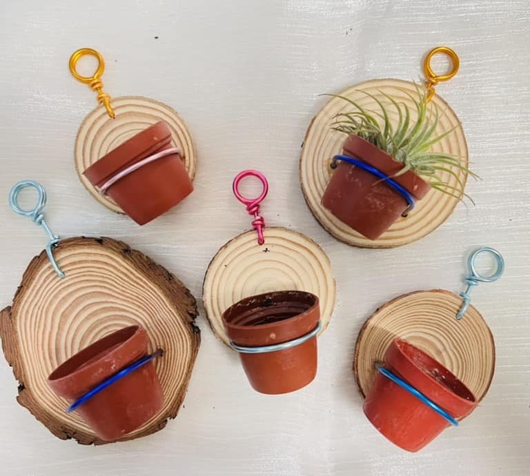 多肉仙人交易所