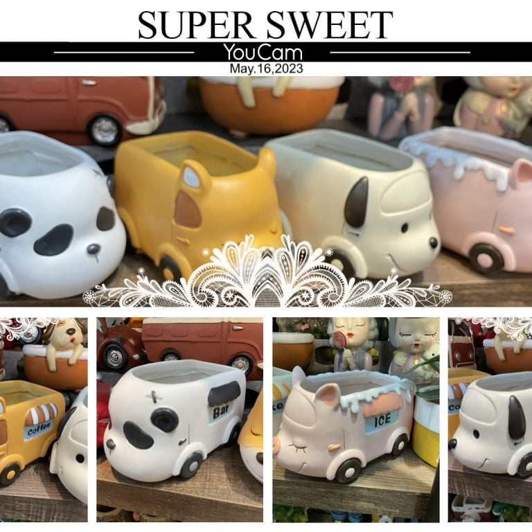 多肉仙人交易所