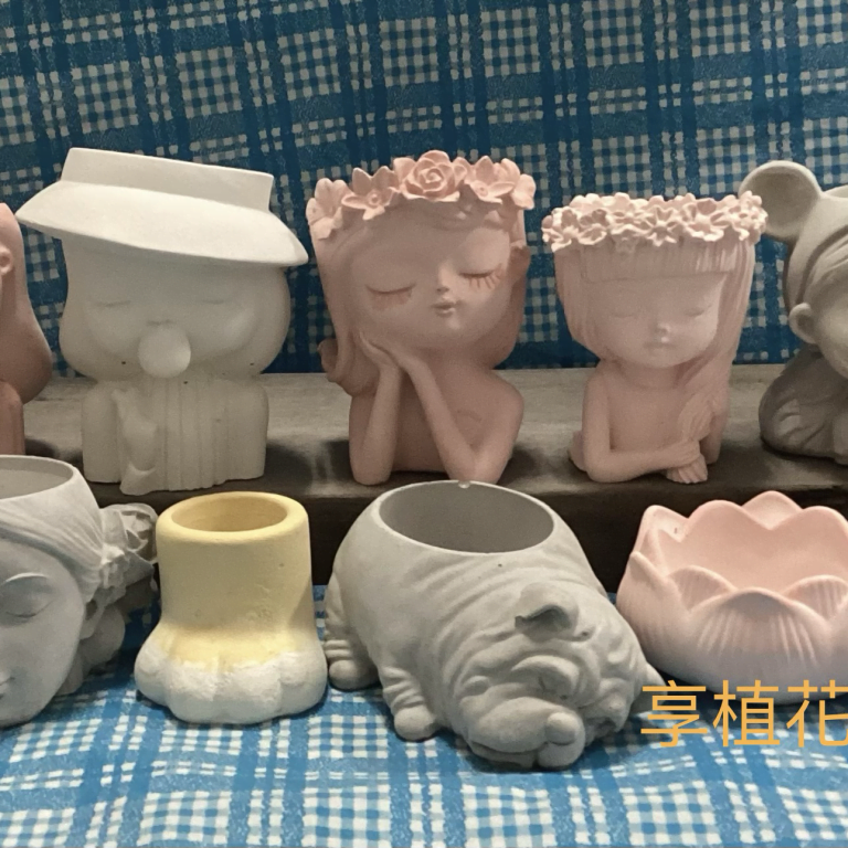 多肉仙人交易所