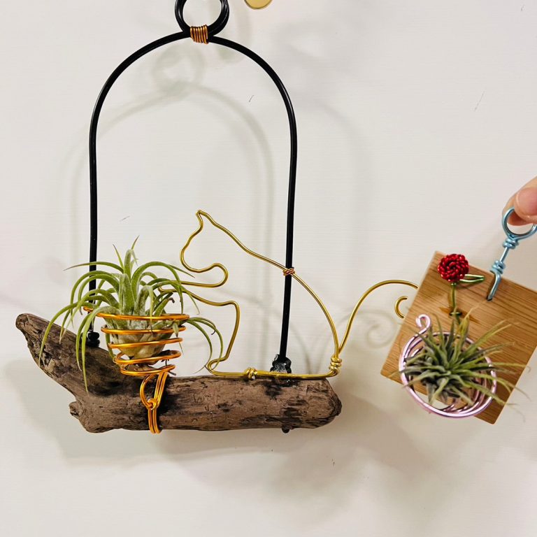 多肉仙人交易所