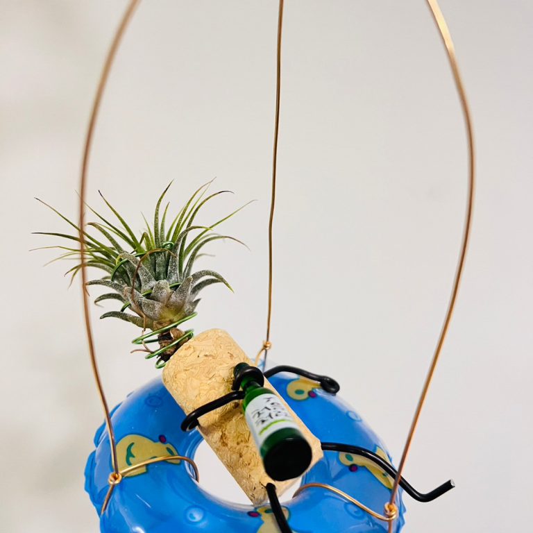 多肉仙人交易所