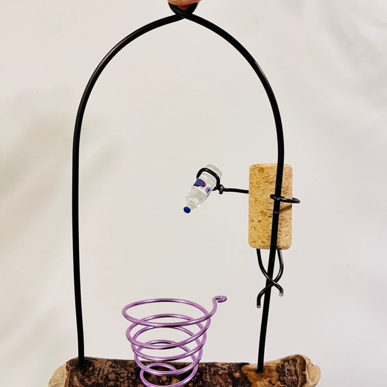 多肉仙人交易所