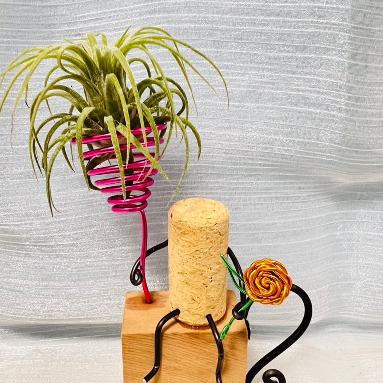 多肉仙人交易所