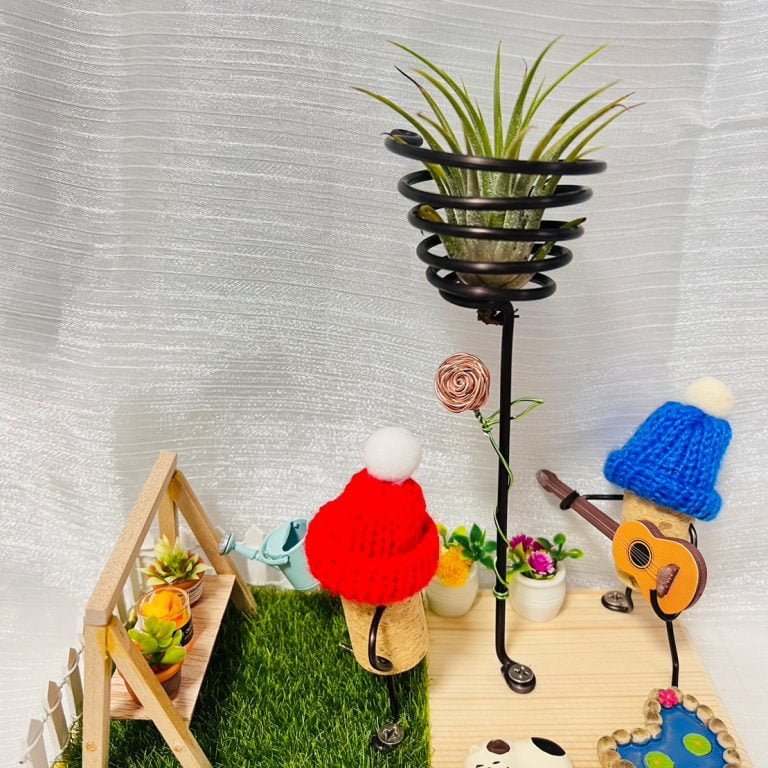 多肉仙人交易所