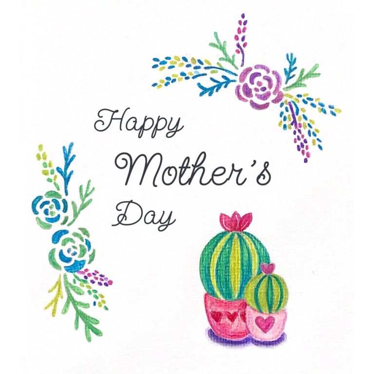 多肉仙人交易所